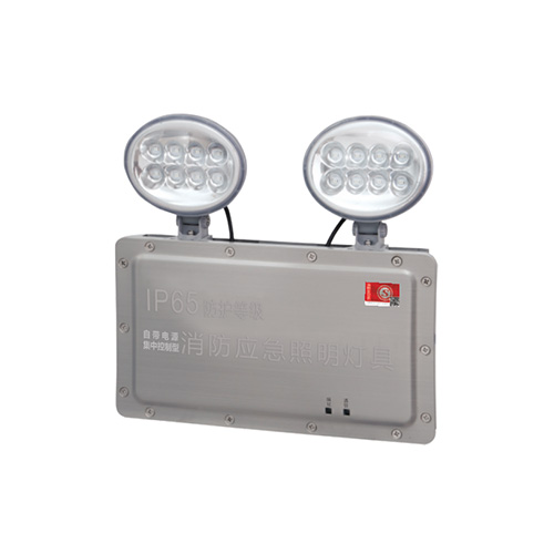 自电集控IP65防水型双头灯